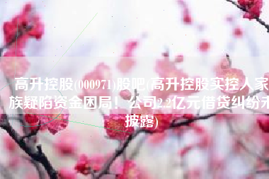 高升控股(000971)股吧(高升控股实控人家族疑陷资金困局！公司2.2亿元借贷纠纷未披露)