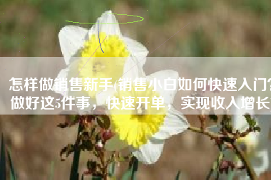 怎样做销售新手(销售小白如何快速入门？做好这5件事，快速开单，实现收入增长)