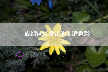 成都包装设计的关键色彩