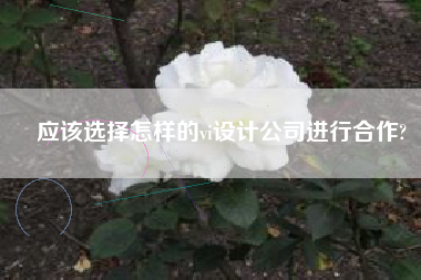 应该选择怎样的vi设计公司进行合作?