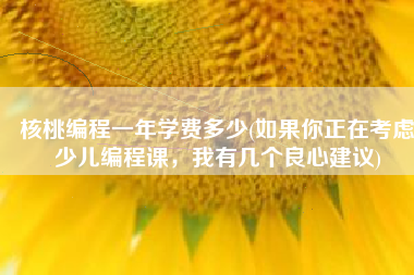 核桃编程一年学费多少(如果你正在考虑少儿编程课，我有几个良心建议)
