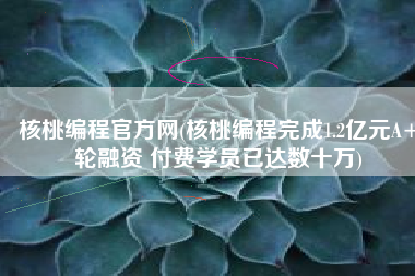 核桃编程官方网(核桃编程完成1.2亿元A+轮融资 付费学员已达数十万)