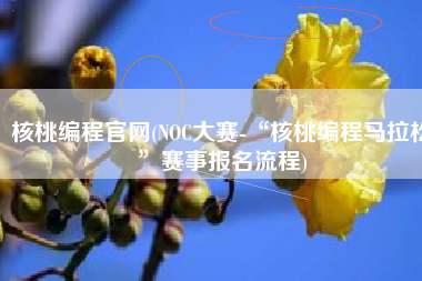 核桃编程官网(NOC大赛-“核桃编程马拉松”赛事报名流程)