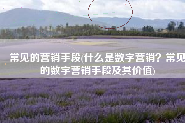 常见的营销手段(什么是数字营销?常见的数字营销手段及其价值)