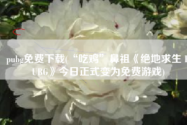 pubg免费下载(“吃鸡”鼻祖《绝地求生 PUBG》今日正式变为免费游戏)