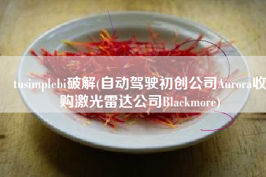 tusimplebi破解(自动驾驶初创公司Aurora收购激光雷达公司Blackmore)