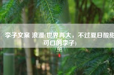李子文案 浪漫(世界再大，不过夏日酸甜可口的李子)