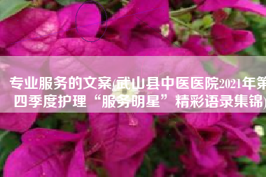 专业服务的文案(武山县中医医院2021年第四季度护理“服务明星”精彩语录集锦)