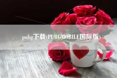 pubg下载(PUBGMOBILE国际版)