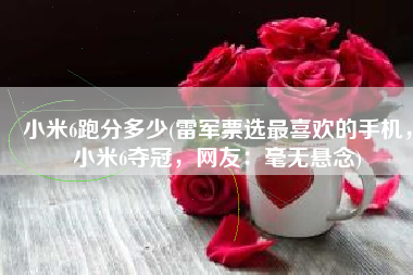 小米6跑分多少(雷军票选最喜欢的手机，小米6夺冠，网友：毫无悬念)