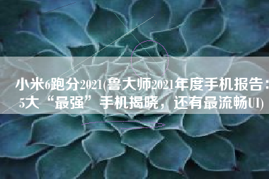 小米6跑分2021(鲁大师2021年度手机报告：5大“最强”手机揭晓，还有最流畅UI)
