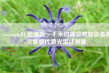 tusimpleBI(能测距一千米的视觉感知设备将完美替代激光雷达测量)