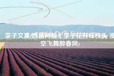 李子文案(西昌问候丨李子花开压枝头 漫空飞舞醉春风)