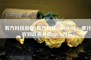 有方科技股吧(有方科技(688159.SH)：累计收到政府补助849.95万元)