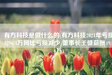 有方科技是做什么的(有方科技2021年亏损1296.4万同比亏损减少 董事长王慷薪酬49.16万)
