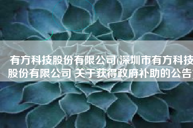 有方科技股份有限公司(深圳市有方科技股份有限公司 关于获得政府补助的公告)