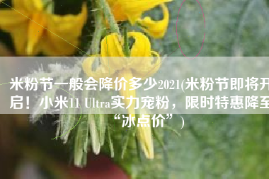 米粉节一般会降价多少2021(米粉节即将开启！小米11 Ultra实力宠粉，限时特惠降至“冰点价”)