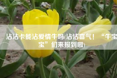 沾沾卡能沾爱情牛吗(沾沾喜气！“牛宝宝”们来报到啦)