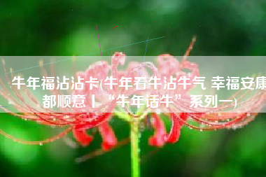 牛年福沾沾卡(牛年看牛沾牛气 幸福安康都顺意丨“牛年话牛”系列一)