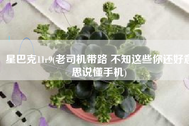 星巴克11r9(老司机带路 不知这些你还好意思说懂手机)