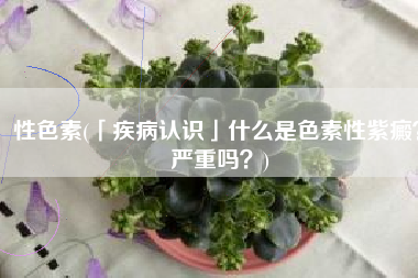 性色素(「疾病认识」什么是色素性紫癜？严重吗？)