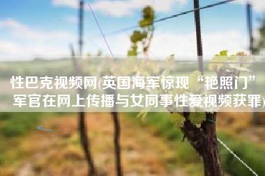 性巴克视频网(英国海军惊现“艳照门”：军官在网上传播与女同事性爱视频获罪)