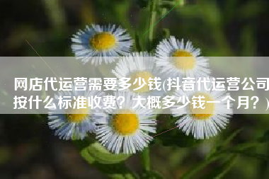 网店代运营需要多少钱(抖音代运营公司按什么标准收费？大概多少钱一个月？)