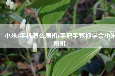 小米4手机怎么刷机(手把手教你学会小米刷机)