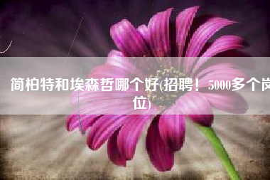简柏特和埃森哲哪个好(招聘！5000多个岗位)