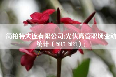 简柏特大连有限公司(光伏高管职场变动统计（2017-2021）)
