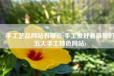 手工艺品网站有哪些(手工爱好者最爱的五大手工特色网站)