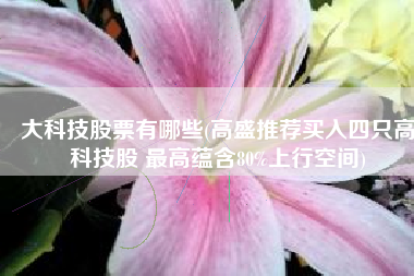 大科技股票有哪些(高盛推荐买入四只高科技股 最高蕴含80%上行空间)