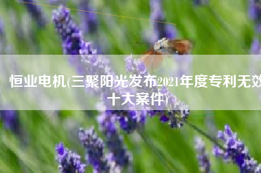 恒业电机(三聚阳光发布2021年度专利无效十大案件)