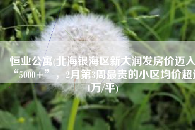 恒业公寓(北海银海区新大润发房价迈入“5000+”，2月第3周最贵的小区均价超过1万/平)