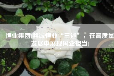 恒业集团(鑫诚恒业“三述”，在高质量发展中展现国企担当)