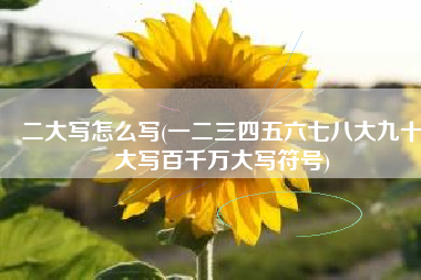 二大写怎么写(一二三四五六七八大九十大写百千万大写符号)