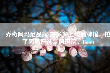 乔奇阿玛尼品牌(拼多多上线品牌馆，拉了网易严选、阿玛尼、Bose)