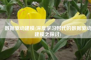 数据驱动建模(深度学习时代的数据驱动建模之探讨)