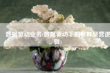 数据驱动业务(数据驱动下的客群经营逻辑)