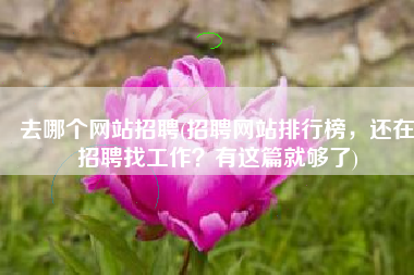 去哪个网站招聘(招聘网站排行榜，还在招聘找工作？有这篇就够了)