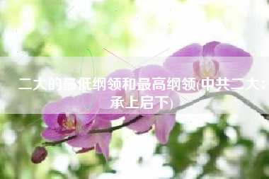 二大的最低纲领和最高纲领(中共二大：承上启下)