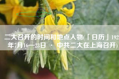 二大召开的时间和地点人物(「日历」1922年7月16—23日 · 中共二大在上海召开)