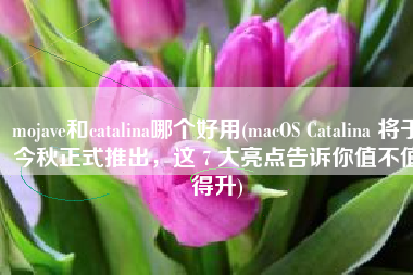 mojave和catalina哪个好用(macOS Catalina 将于今秋正式推出，这 7 大亮点告诉你值不值得升)