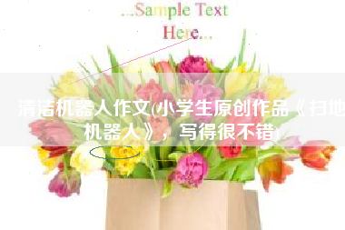 清洁机器人作文(小学生原创作品《扫地机器人》，写得很不错)