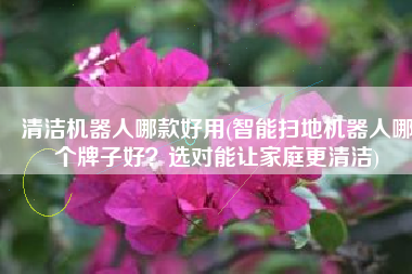 清洁机器人哪款好用(智能扫地机器人哪个牌子好？选对能让家庭更清洁)