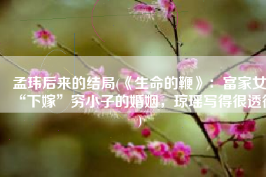 孟玮后来的结局(《生命的鞭》：富家女“下嫁”穷小子的婚姻，琼瑶写得很透彻)