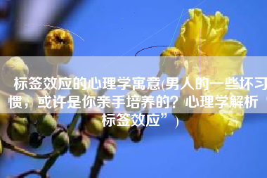 标签效应的心理学寓意(男人的一些坏习惯，或许是你亲手培养的？心理学解析“标签效应”)