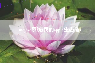 mojave系统(我的apple生态链)