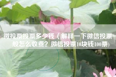 微投票投票多少钱（解释一下微信投票一般怎么收费？微信投票10块钱100票)