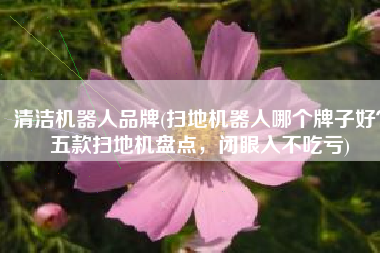 清洁机器人品牌(扫地机器人哪个牌子好？五款扫地机盘点，闭眼入不吃亏)